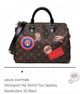 LOUIS VUITTON Monogram World Tour Speedy Bandouliere 30